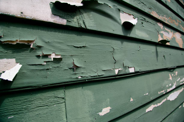 Reliable Ocklawaha, FL Junk Removal Solutions